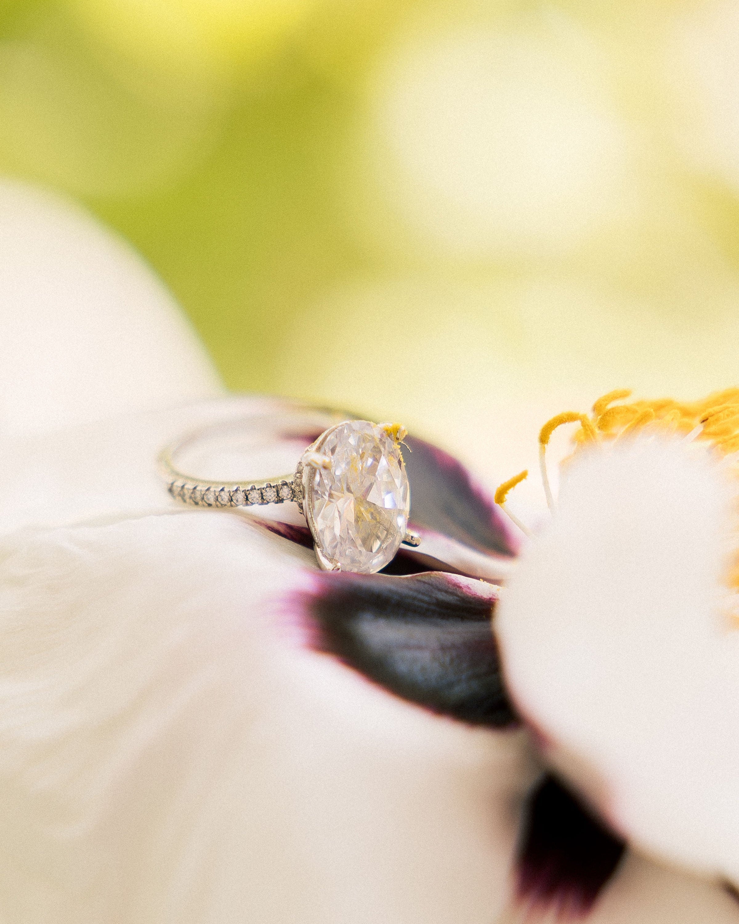 A silver-toned ring with a large oval clear gemstone resting on white flower petals with a soft green and yellow blurred background.